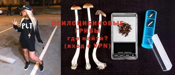 твердый Алзамай