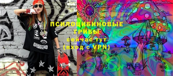 твердый Алзамай